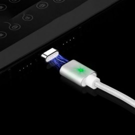 Magnetic Type-C Charging Head (SILVER)