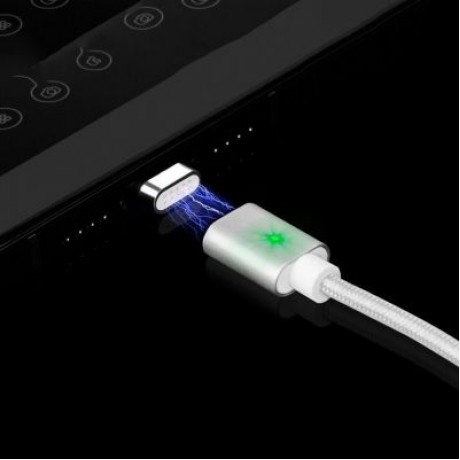 Magnetic Type-C Charging Head (SILVER)