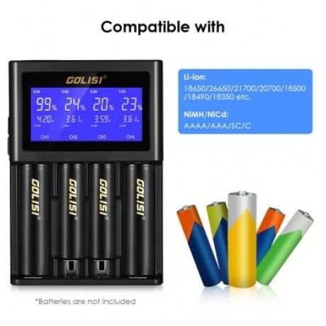 GOLISI S4 Smart Battery Charger (BLACK)