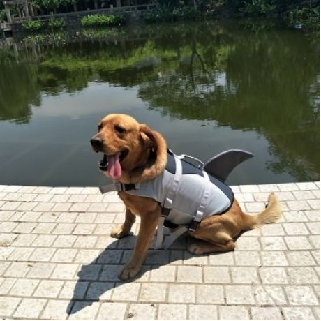 Pet Dog Life Jacket Safety Swimming Vest (GRAY)