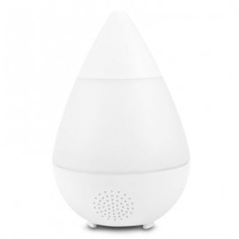 AJ - 216 Aromatherapy Humidifier with Night Light (WHITE)