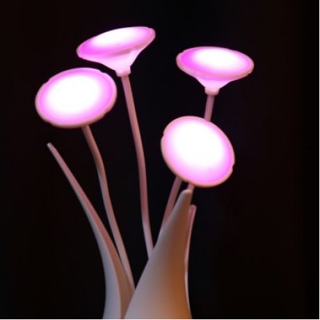Portable LED USB Light Sensor Nursing Night Lamp for Baby Breast Feeding (ROSE RED)