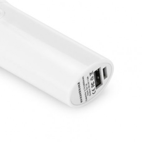 Nano Handy Mist Spray Facial Mister USB Rechargeable Beauty Instrument  (WHITE)