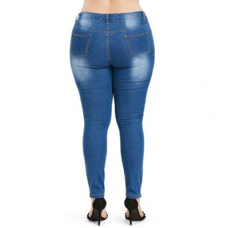 Plus Size Distressed Embroidered Jeans (WINDOWS BLUE)