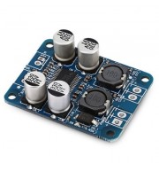 Landa Tianrui LDTR - WG0067 Mini 60W TPA3118 PBTL Mono Digital Amplifier Module (BLUE)