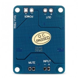 Landa Tianrui LDTR - WG0067 Mini 60W TPA3118 PBTL Mono Digital Amplifier Module (BLUE)