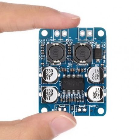 Landa Tianrui LDTR - WG0067 Mini 60W TPA3118 PBTL Mono Digital Amplifier Module (BLUE)