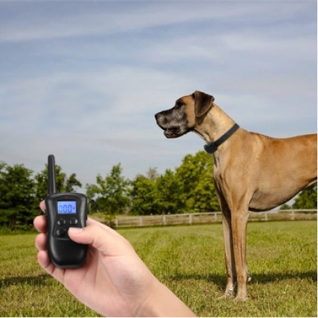 998DA Rechargeable Remote Dog Training Collar 190m Range  (BLACK)