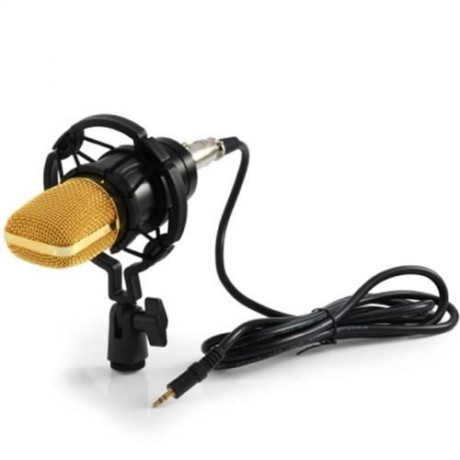 LEIHAO BM - 700 CONDENSER STUDIO SOUND RECORDING MICROPHONE (BLACK)