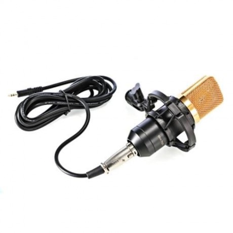 LEIHAO BM - 700 CONDENSER STUDIO SOUND RECORDING MICROPHONE (BLACK)