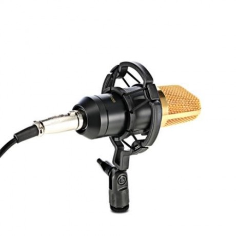 LEIHAO BM - 700 CONDENSER STUDIO SOUND RECORDING MICROPHONE (BLACK)