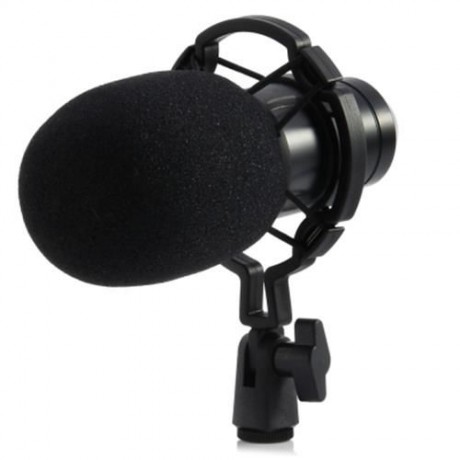 LEIHAO BM - 700 CONDENSER STUDIO SOUND RECORDING MICROPHONE (BLACK)