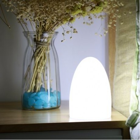 USB Rechargeable LED Egg Shape Night Light with Remote Control for Bedroom (WHITE)