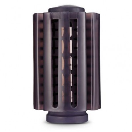 GW - 6508 Hair Styling Tool Dryer Curler Electric 2 in 1 Rotating Hot Brush (PURPLE)