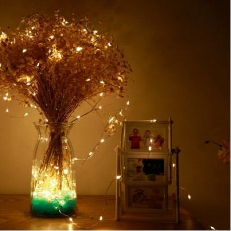 LH - LS - 6M60LWW 60 LEDs 6m Fairy Copper String Light with Remote Control (WARM WHITE)