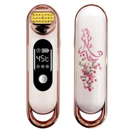KLY - 1706 Intelligent Temperature Control RF V-face Maker Lifting Beauty Instrument  (CHA