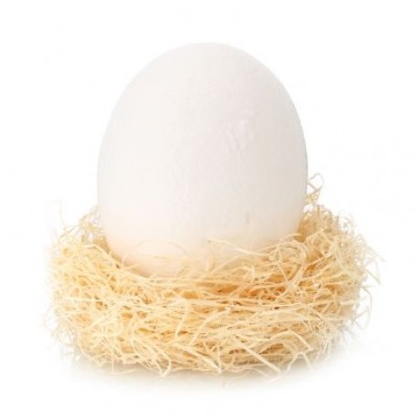 3D Printing Dinosaur Egg Light Pat Night Lamp Romantic 3 Colors  (WHITE)