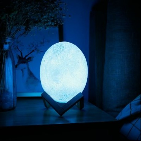 3D Printing Dinosaur Egg Light Pat Night Lamp 3 Colors Living Room (WHITE)