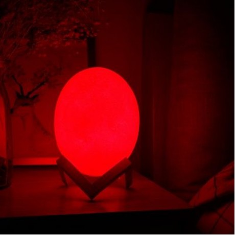 3D Printing Dinosaur Egg Light Night Lamp Remote Control for Bedroom (WHITE)