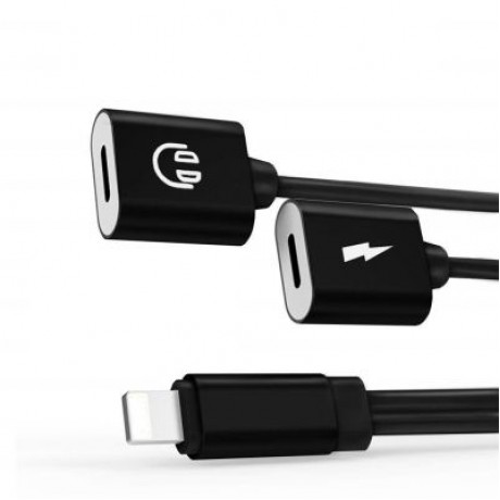 2-in-1 Adapter Double Headphone Audio Charge for iPhone X/8/8 Plus/7/7 Plus (BLACK)