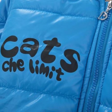 CUTE PANDA HAT LONG SLEEVE ZIPPERED PRINTED PADDED COAT FOR KIDS (BLUE)