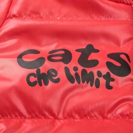 CUTE PANDA HAT LONG SLEEVE ZIPPERED PRINTED PADDED COAT FOR KIDS (RED)