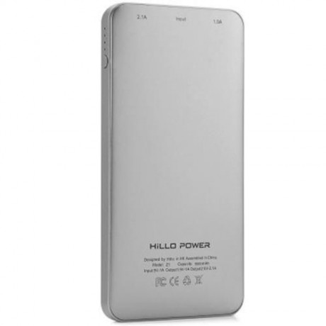 Z1 5000MAH DUAL USB INTERFACE PORTABLE MOBILE POWER BANK (SILVER)
