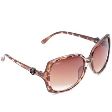 LADY VINTAGE BIG FRAME SUNGLASSES GOGGLES SHADES EYEGLASS (BROWN)