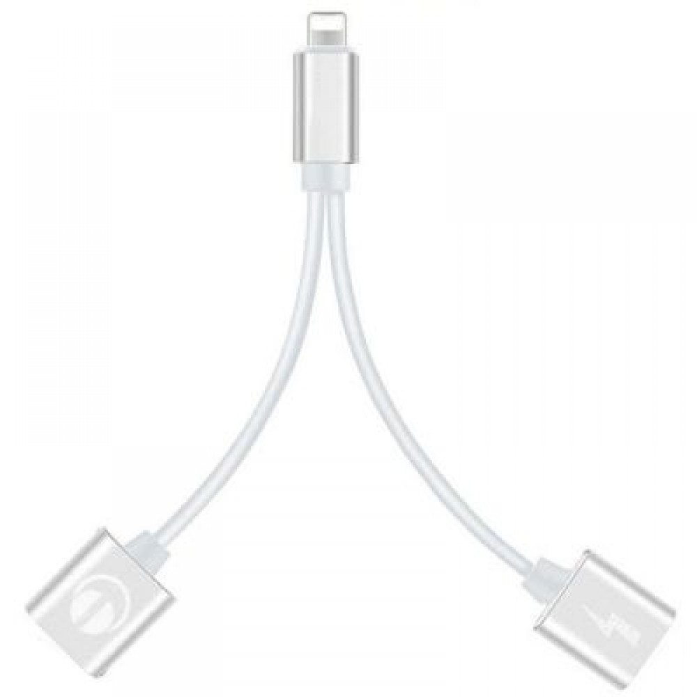 2-in-1 Adapter Double Headphone Audio Charge for iPhone X/8/8 Plus/7/7 Plus (SILVER)