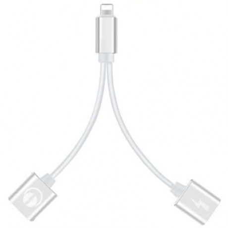 2-in-1 Adapter Double Headphone Audio Charge for iPhone X/8/8 Plus/7/7 Plus (SILVER)