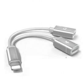 2-in-1 Adapter Double Headphone Audio Charge for iPhone X/8/8 Plus/7/7 Plus (SILVER)