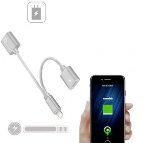 2-in-1 Adapter Double Headphone Audio Charge for iPhone X/8/8 Plus/7/7 Plus (SILVER)