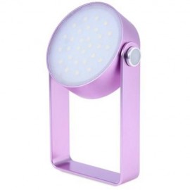 2W 29 LEDS OUTDOOR MULTI-FUNCTIONAL WATERPROOF LED LIGHT DESK LAMP (PURPLE)