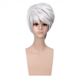 HANDSOME BOY SILVER GREY SHORT ANIME COSPLAY WIGS PARTY COSTUME