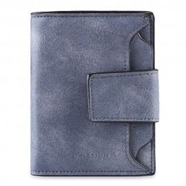 BRIEF FROSTED MINI PURSE FOR WOMEN (BLUE)