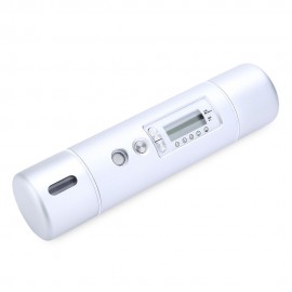 SKIN NEBULIZER MOISTURIZING FACIAL BEAUTY INSTRUMENT ARTIFACT (SILVER)
