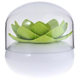 LOTUS COTTONBUDS BOX TOOTHPICKS HOLDER STAND WITH TRANSPARENT COVER (GREEN)