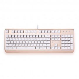 S300 PROFESSIONAL MECHANICAL HAND-FEEL BLUE AXIS USB WIRED GAMING KEYBOARD WITH BACKLIGHT