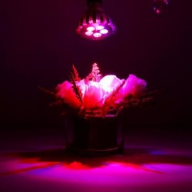 AC 85 - 265V E27 5W EFFICIENT LED GROW LIGHT (SILVER)