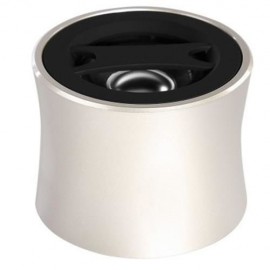 BLUETOOTH SPEAKER PORTABLE AUX TF CARD MUSIC PLAYER (CHAMPAGNE)