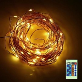 HQYG - 06 30CM 100 LEDS COPPER STRING LIGHT WITH REMOTE CONTROLLER (WARM WHITE LIGHT)