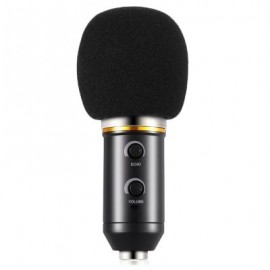 BM - 300FX Audio Sound Recording Condenser Microphone with Foldable Tripod (BLACK)