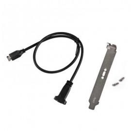 USB 3.1 Type-E Female to Type-C Extension Data Cable with Plate Bracket (BLACK)