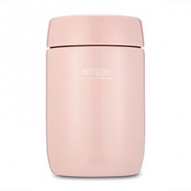 Student Food Soup Vacuum Thermos Stainless Steel Lunch Jar 650ml (LIGHT PINK)