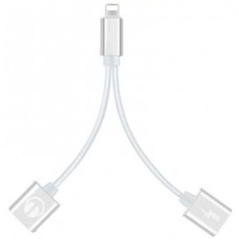 2-in-1 Adapter Double Headphone Audio Charge for iPhone X/8/8 Plus/7/7 Plus (SILVER)